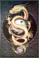 /album/snimki/golddragon1a-jpg1/